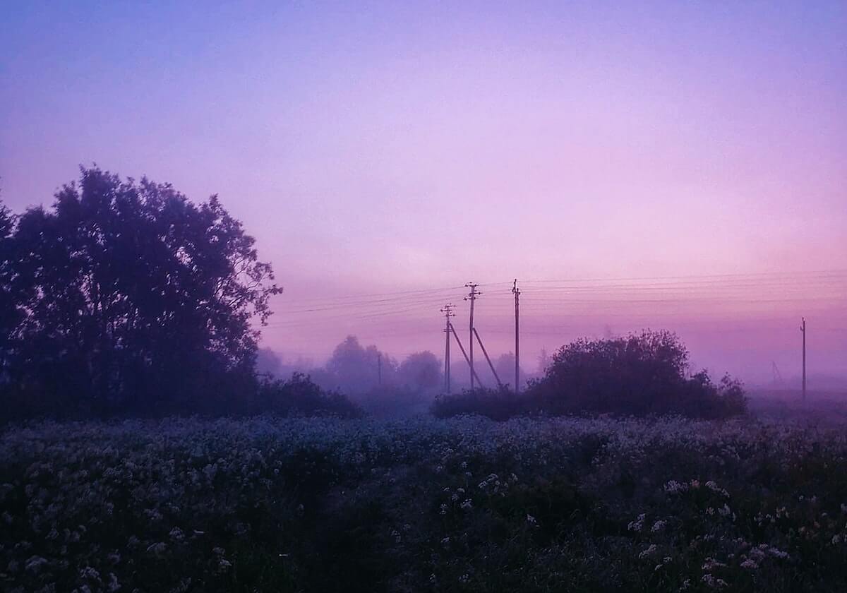 官方入口：打开信任之门的第一扇门